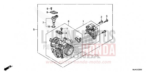 CORPO FARFALLATO VT750C2SE di 2014